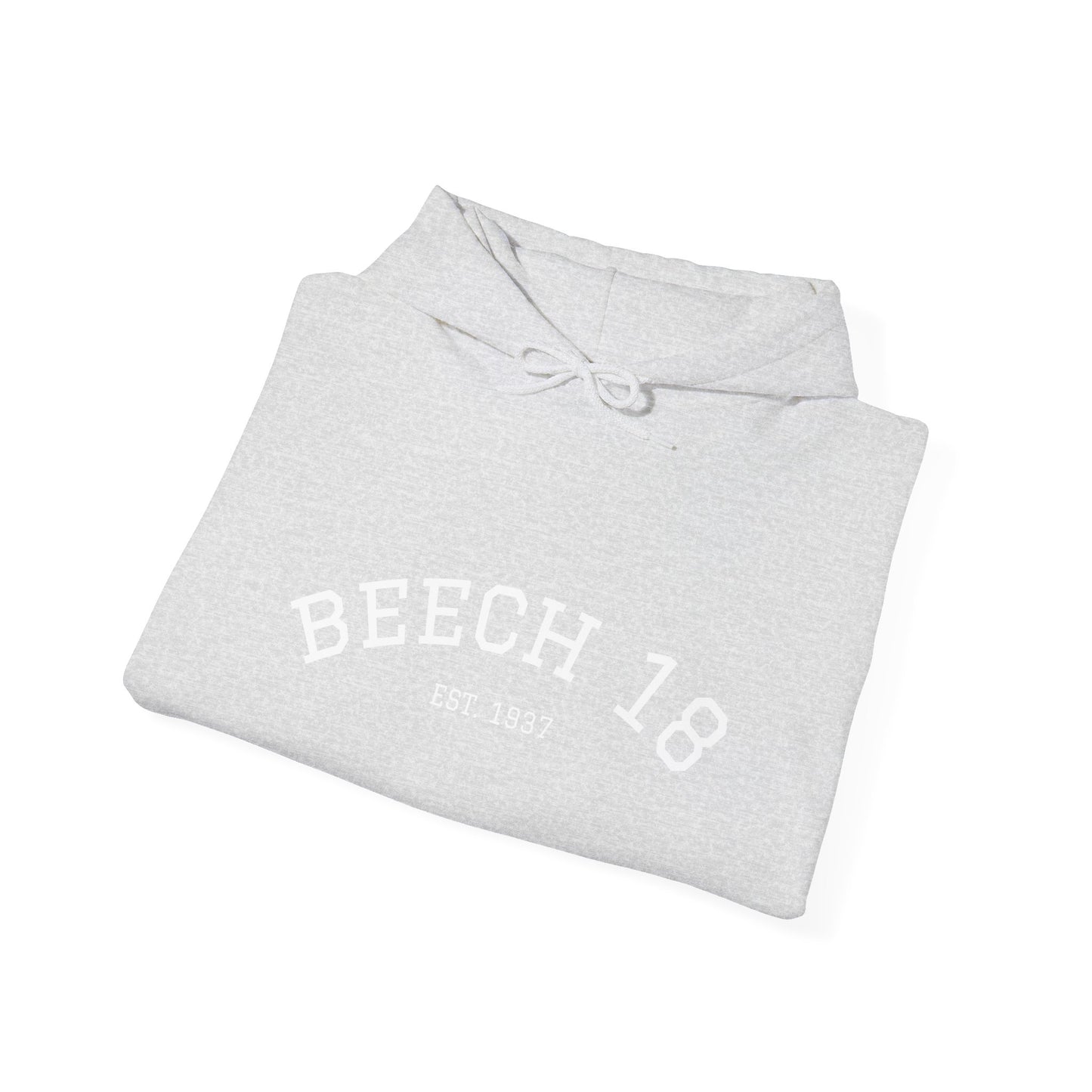 Beech 18 Aviator Vintage Hoodie, Unisex Pilot Sweatshirt with Sleeve