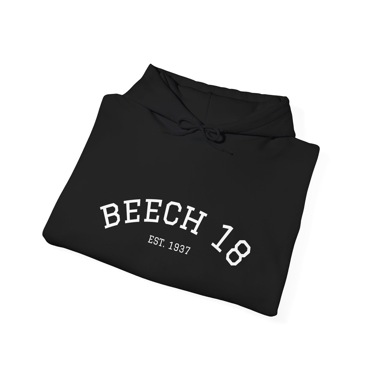 Beech 18 Aviator Vintage Hoodie, Unisex Pilot Sweatshirt, Retro Aviation Gift, Cozy Travel Wear, Unique Airplane Design