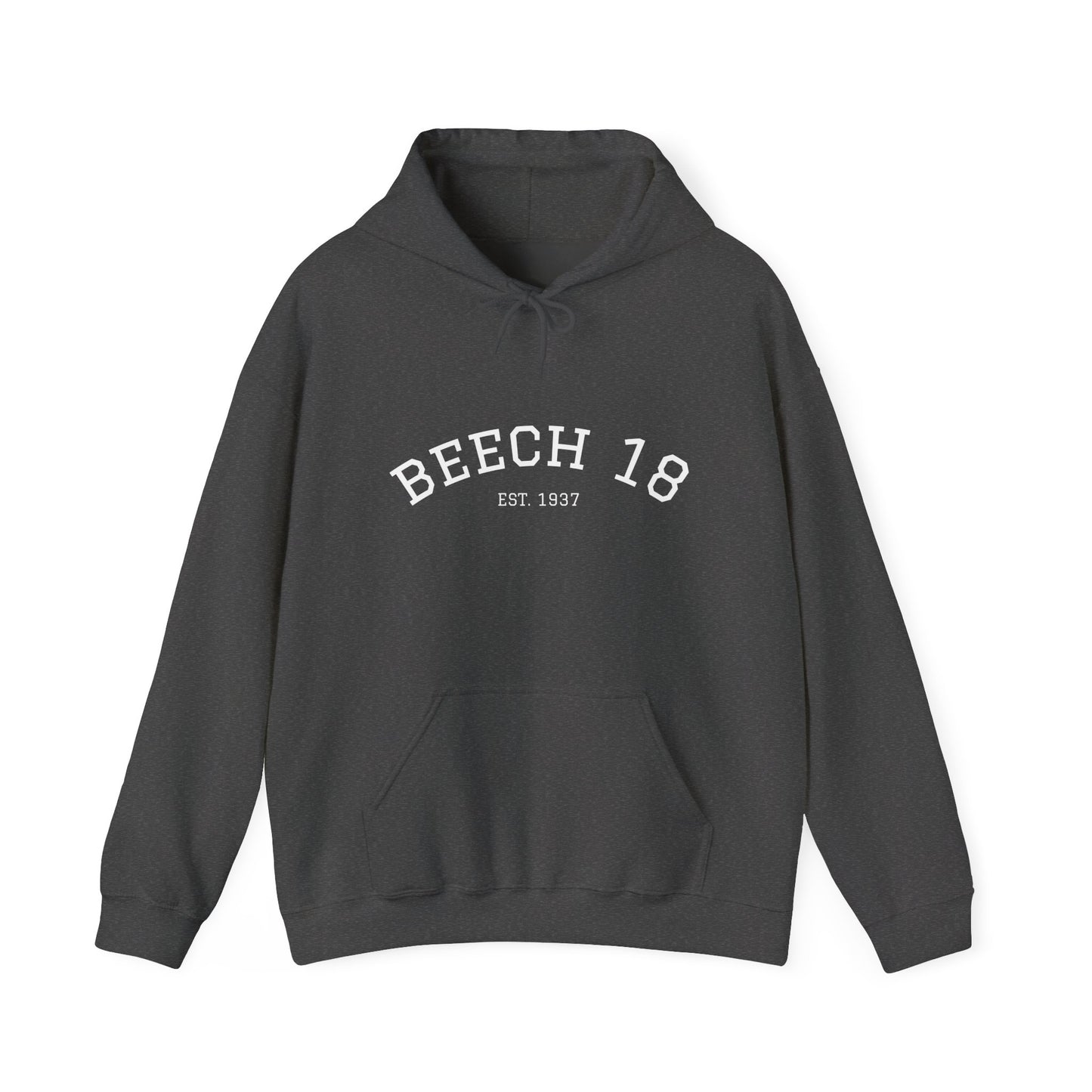 Beech 18 Aviator Vintage Hoodie, Unisex Pilot Sweatshirt, Retro Aviation Gift, Cozy Travel Wear, Unique Airplane Design